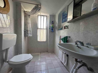 CERVO- IMPERIA - - VV15