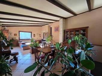 SAN GERMANO CHISONE - VF04