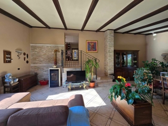 SAN GERMANO CHISONE - VF04