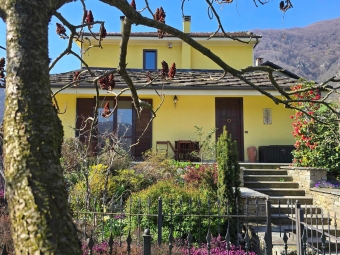 SAN GERMANO CHISONE - VF04